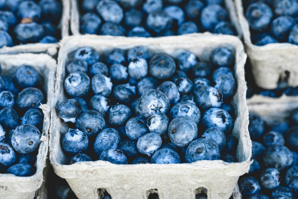 Blueberries boost memory